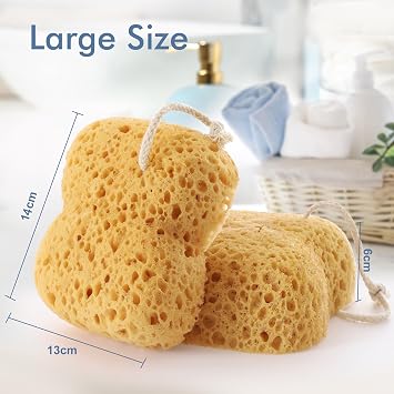 Shower Sponge 2-Pack – Exfoliating Body Scrubber