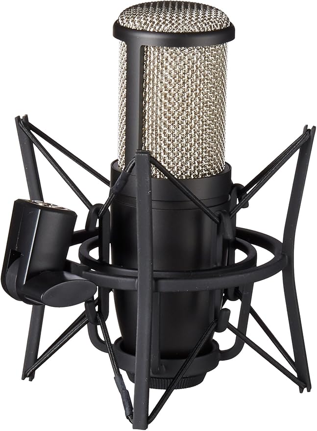 AKG Pro Audio Perception 220 Professional Studio Microphone Amazon.ca
