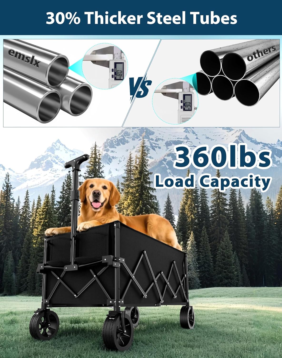 https://m.media-amazon.com/images/I/81c+ECN4YlL._AC_SL1500_.jpg