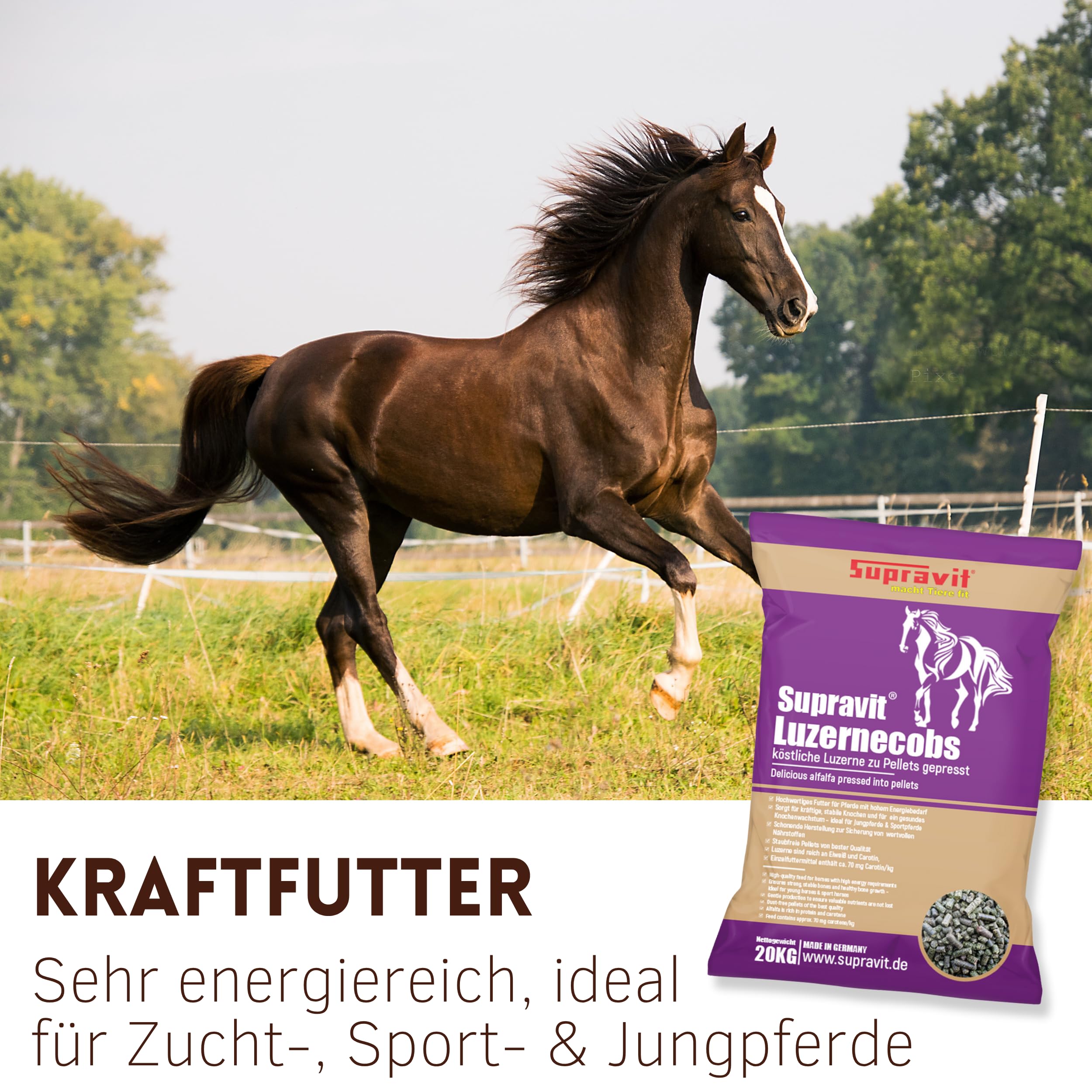 Supravit Luzernecobs 20kg - energiereiches Pferdefutter I Luzernepellets mit hohem Anteil an Carotin I liefert wichtige Mineralien für alle Pferde