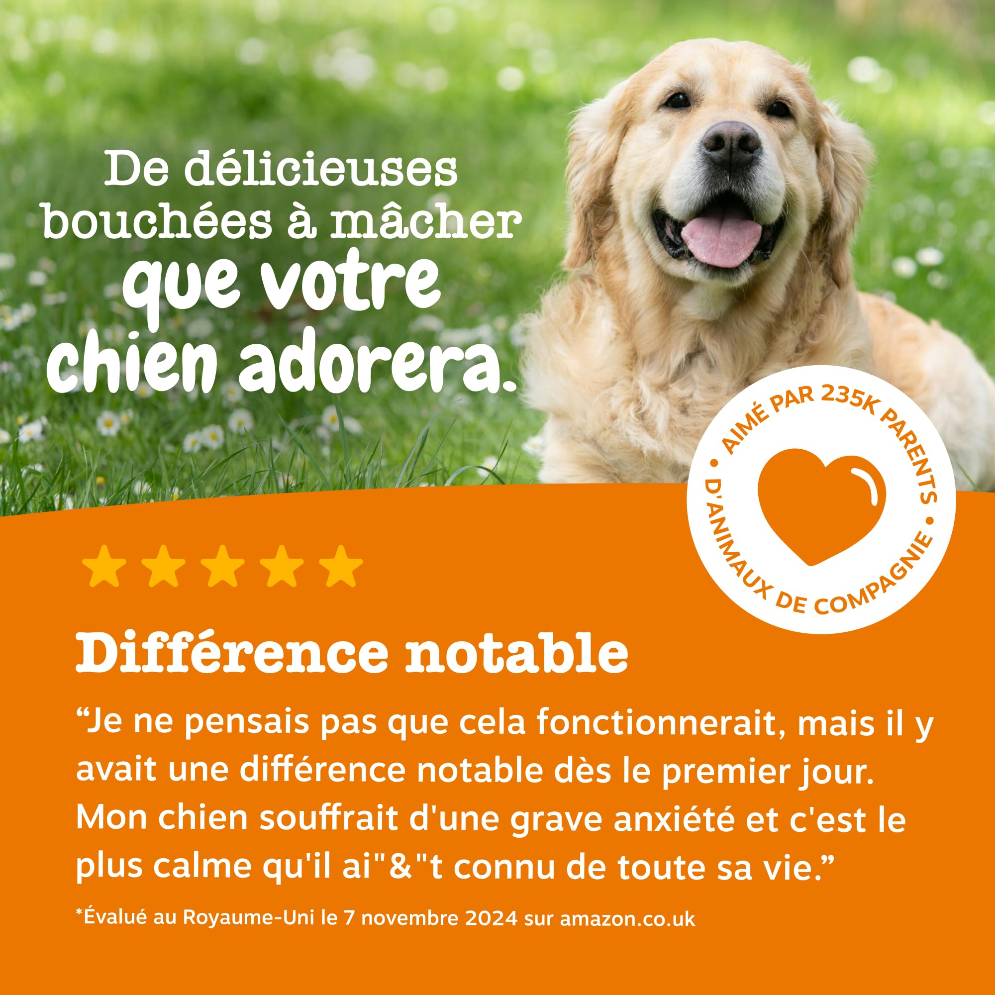 Zesty Paws Bouchées Relaxantes Chien | Calme, Détente et Bien-être | Contre Le Stress, Hyperactivité et Anxiété de Séparation | Thé Vert, Ashwagandha, L-Tryptophane | Usage Quotidien | 90 Bouchées