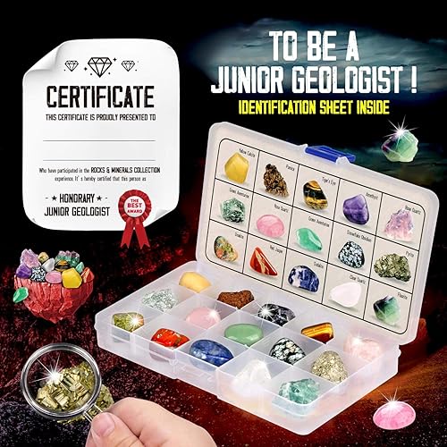 Miniatura 9 de XX TOYS Rock Stone Colletction Kit de ciencia geología para niños, muestras de regalo, 15 lupas incluidas