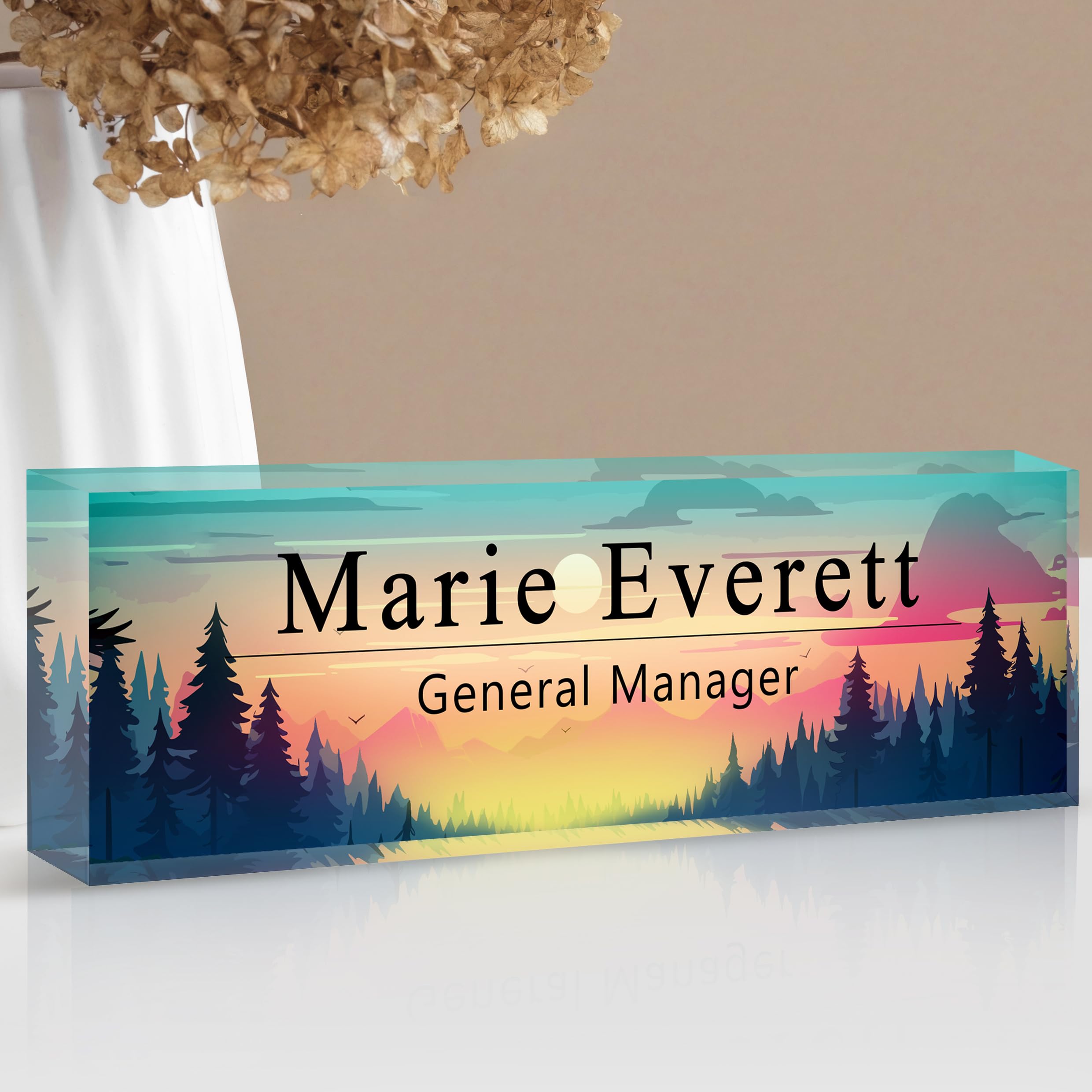 Custom Name Plate for Desk | Personalized Desk Name Plate | Personalized Boss Employee Appreciation Gifts | Acrylic Name Plate Office Desk Accessories