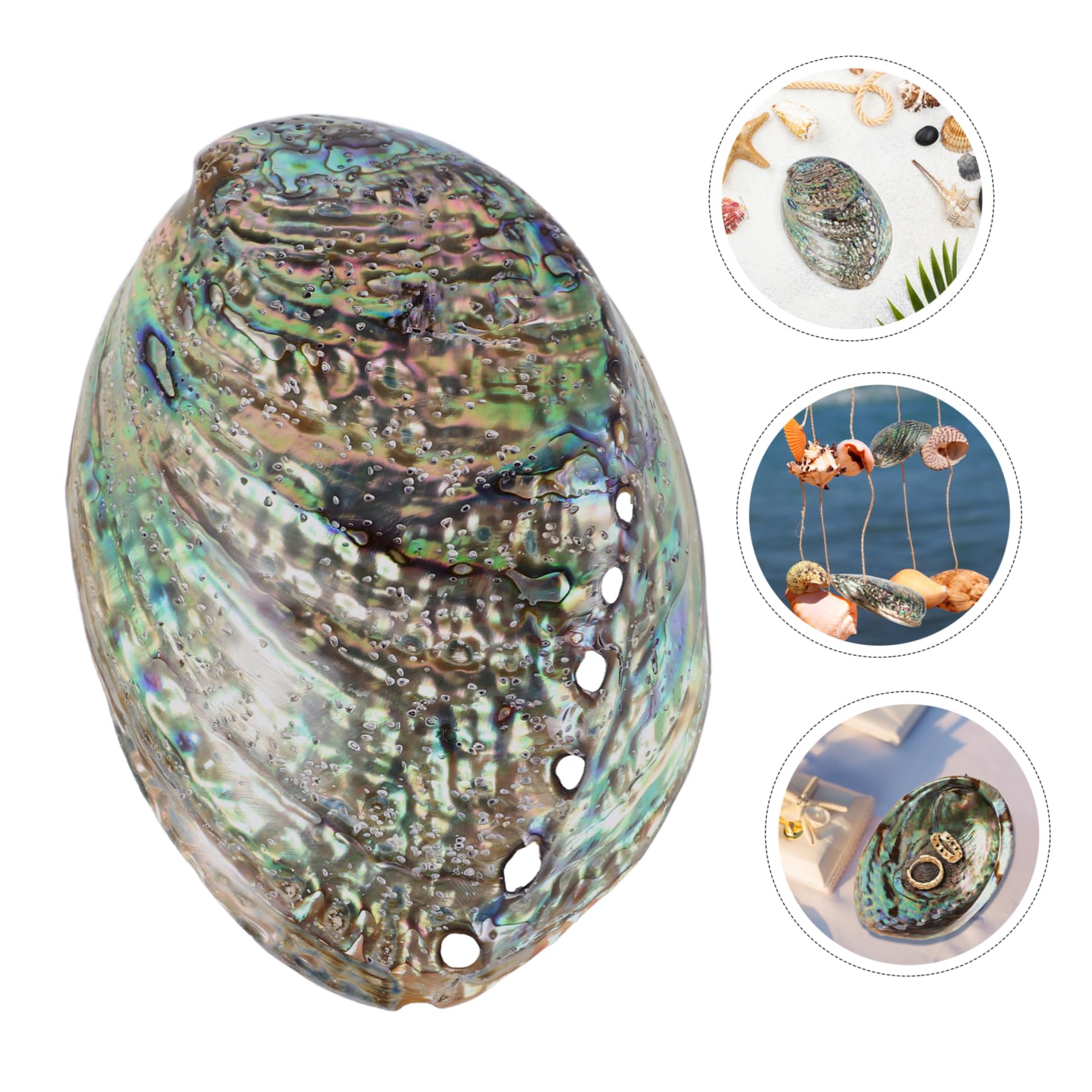 Veemoon Abalone-Meeresmuschel Accessoires,Große Abalone-Schale Für Hochzeit- Heimdekorationen DIY Decorative Accessoires Party