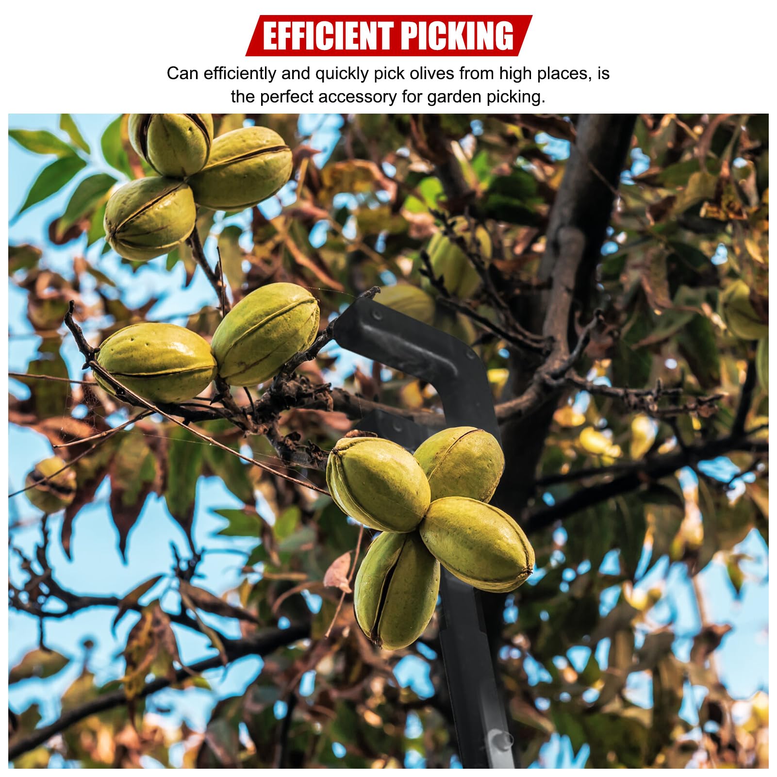 Obstpflückerkopf Korbtasche Pflücken Apfel Orangenbaum Gartenarbeit, 26 mm Obstpflückerkopf 9 Zähne Abfallpflückerkopf Aluminiumlegierung Olive Orange Pflückmaschine Gartengreifwerkzeugkopf