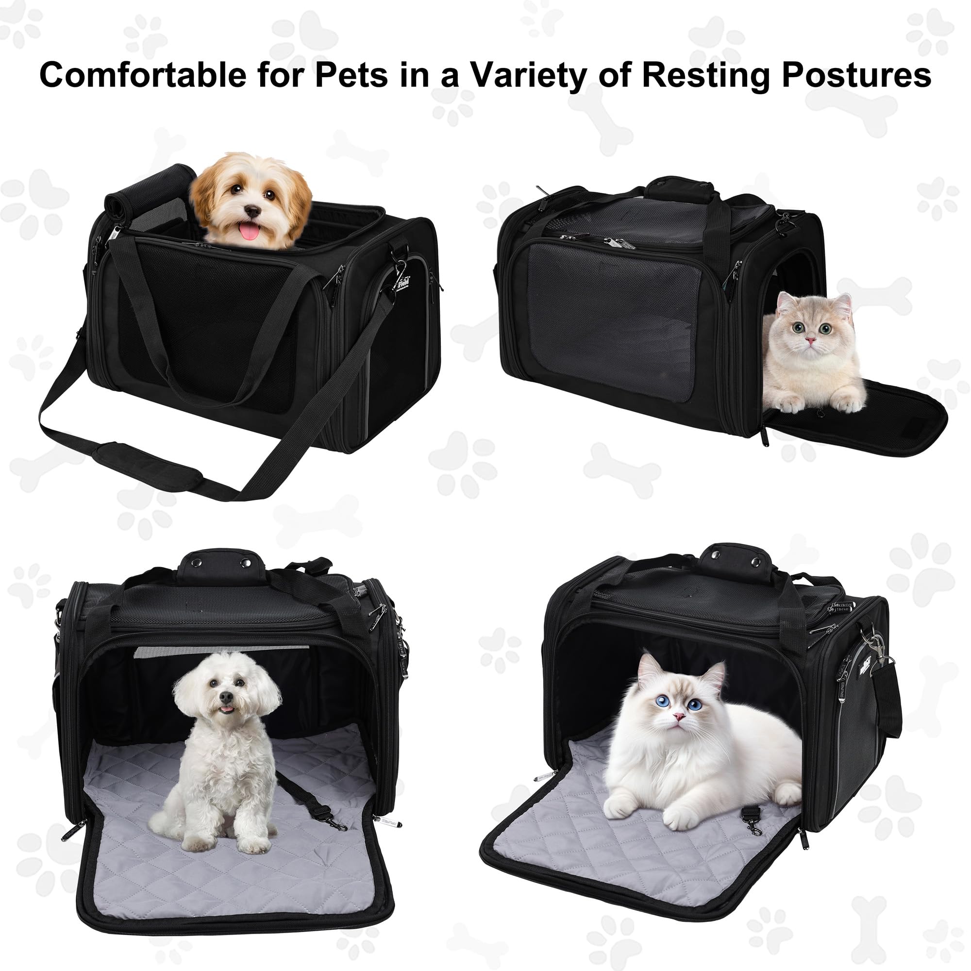 EliteField Deluxe Soft-Sided Pet Carrier (3 Year Warranty, Airline Approved), Travel Bag for Dogs, Cats & Small Pets, with Expandable Mat - image 2