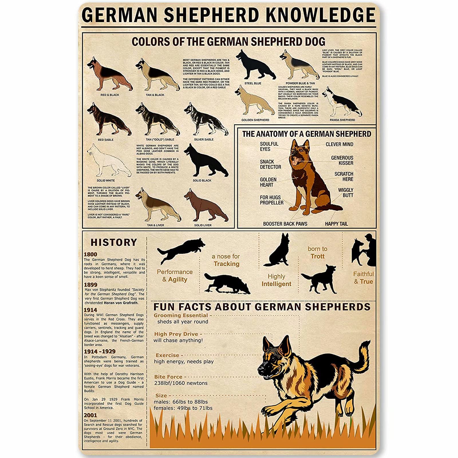 rayprint an Shepherd Knowledge Metal Sign Vintage Home Decoran Shepherd Encyclopedia Infographic Posters For Room Schooling Wall Art Decor 12x16 Inches