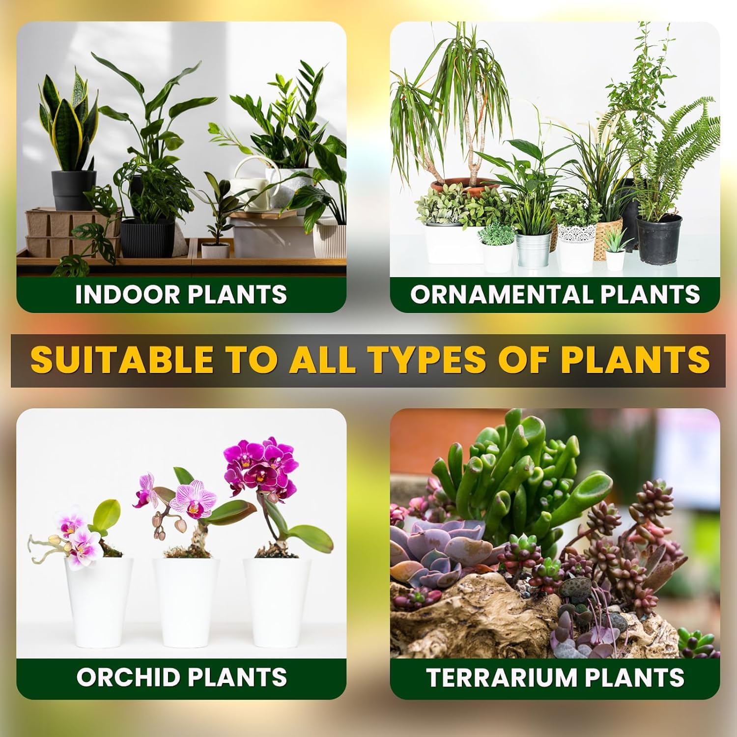 CharGro Charcoal - Natural Soil Filter for Plants & BBQ -2 CharGro Charcoal - Natural Soil Filter for Plants & BBQ -2