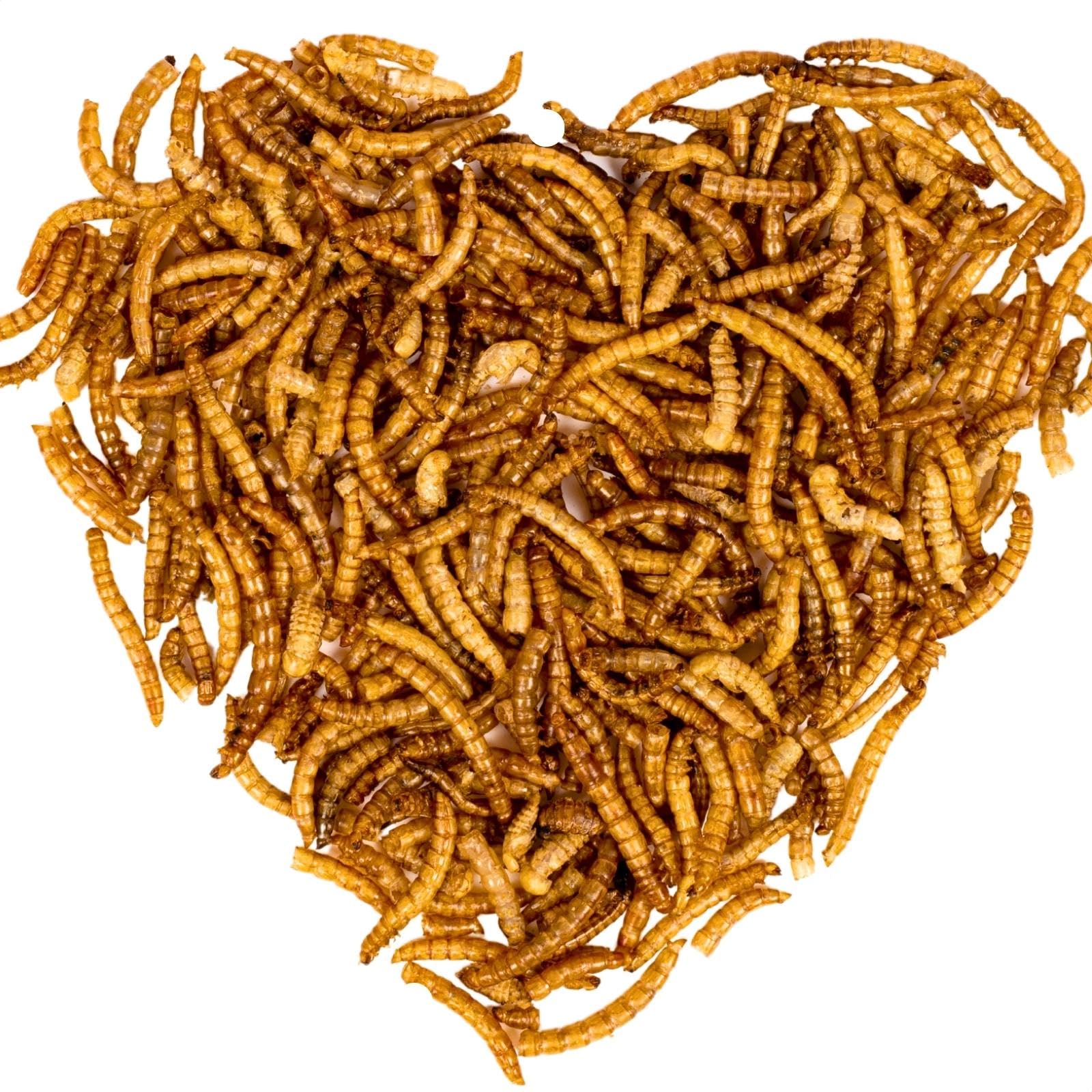 Lyra Pet® | 10 kg Mehlwürmer | Ideal für Zier- und Teichfische | Schonend Getrocknet | Proteinreiches Fischfutter | Reich an Vitaminen & Mineralstoffen | Nährstoffreiche Energiequelle für Koi | Premium Qualität - Proteinreiches Vogelfutter - Energiespende