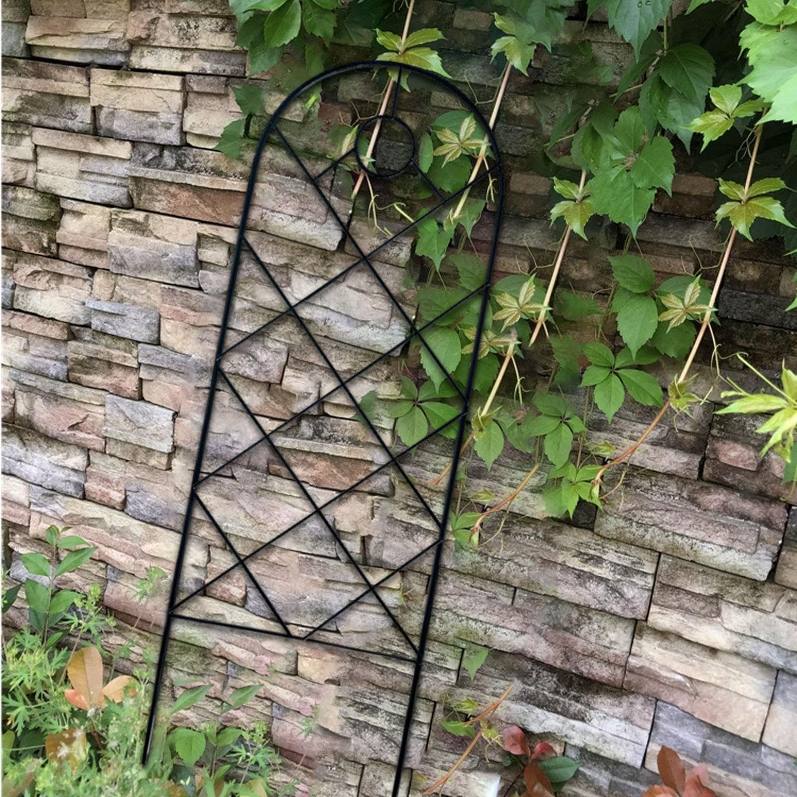 Treillis en métal pour plantes grimpantes - Extérieur et intérieur - Revêtement antirouille noir robuste - 57 x 20 cm