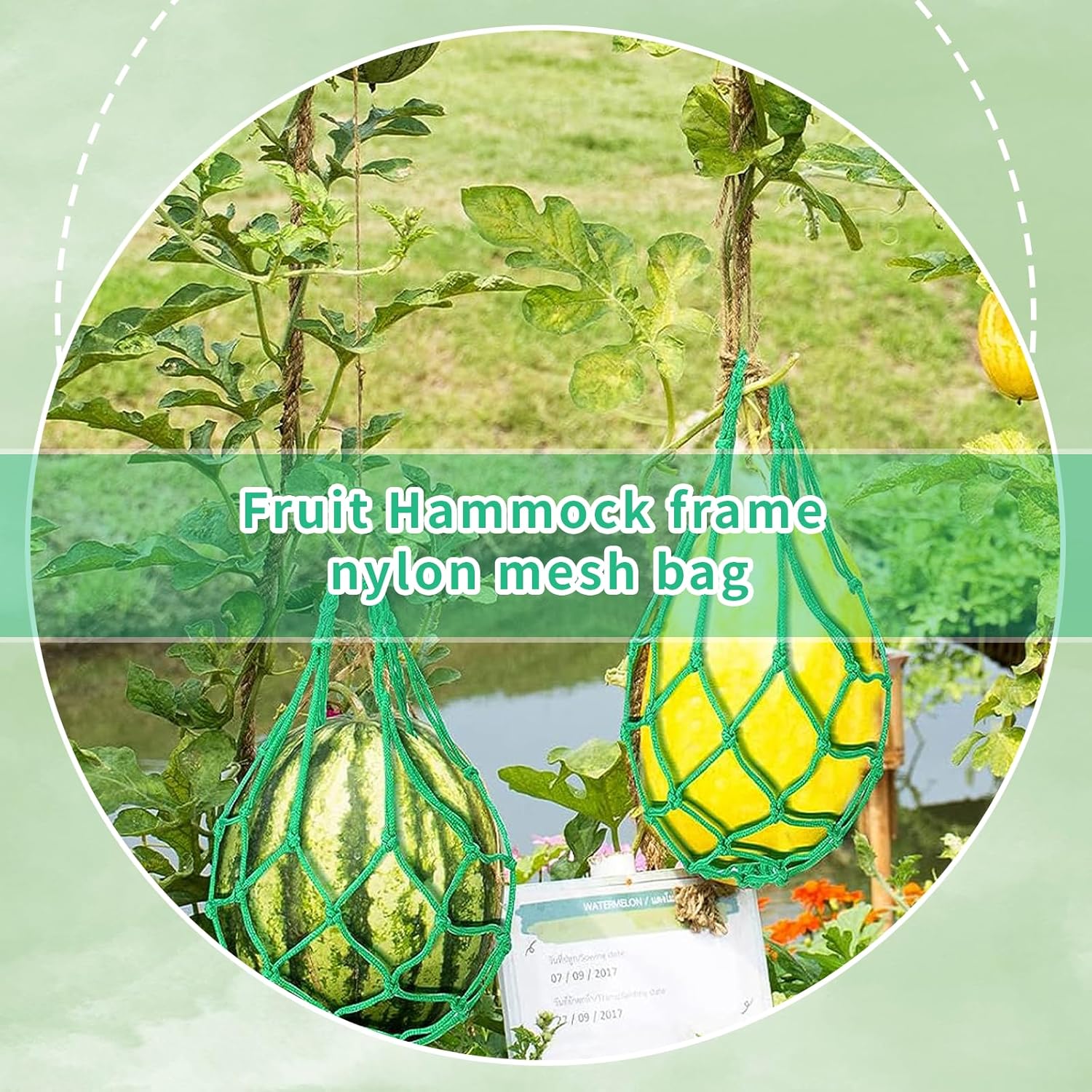 10 Pcs Melon Hammocks Cradles with D Hanging Hooks, for Trellis Heavy Duty Watermelon Nets,Or Growing Cantaloupe, Pumpkin,Honeydew in Vertical Garden (Green) 2 81c+sBzHiFL. AC SL1500
