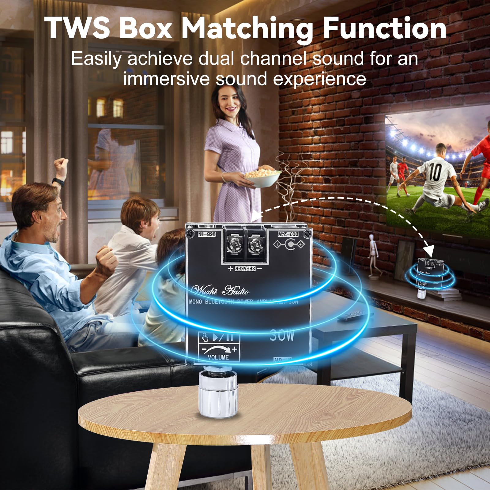 Snapklik.com : 30W TWS Bluetooth Amplifier Board, DC 9-24V 3A Audio ...