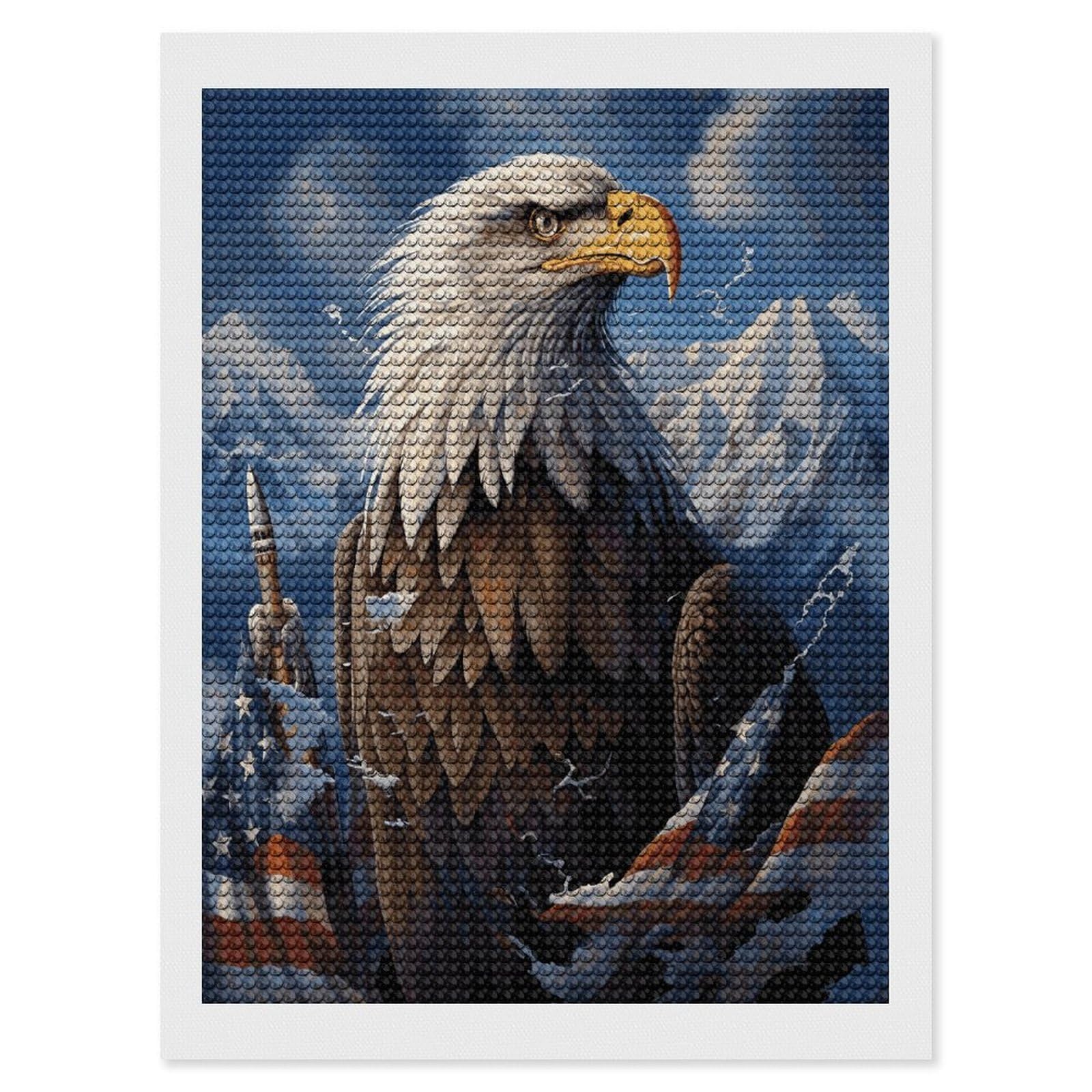 JTREHY Eagle Diamond Art Kits Personalized DIY Round Diamond Painting Kits for Beginner Full Drill Diamonds Dots Paintings for Adults Gem Art Crafts Home Decor