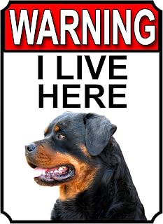 SHAWPRINT WARNING I LIVE HERE METAL GATE SIGN ROTTWEILER THEME 200MM X 150MM (1348H1)