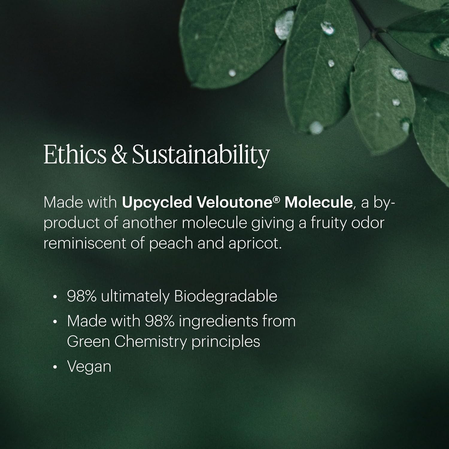 Aera Destinations Hawaii - Essential Oil for Home – Relaxing Vacation Fragrance - Notes of Tropical Fruits and Sugared Limes - Scent Refill - Works with The Aera Diffuser - Image 4