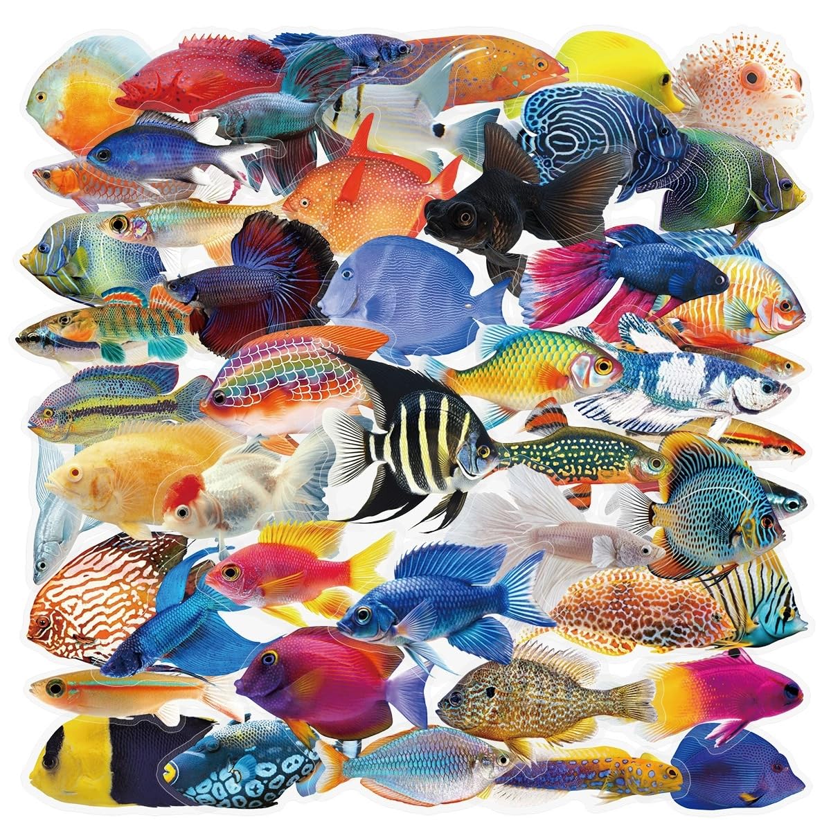 50 Pcs Fish Stickers for Kids Teens Adults Boys Girls Gift,Fish Stickers Pack for Laptop,Skateboard,Luggage,Car,Bike,Cup,Computer,Water Bottle Decor,Transparent Vinyl Waterproof Decals