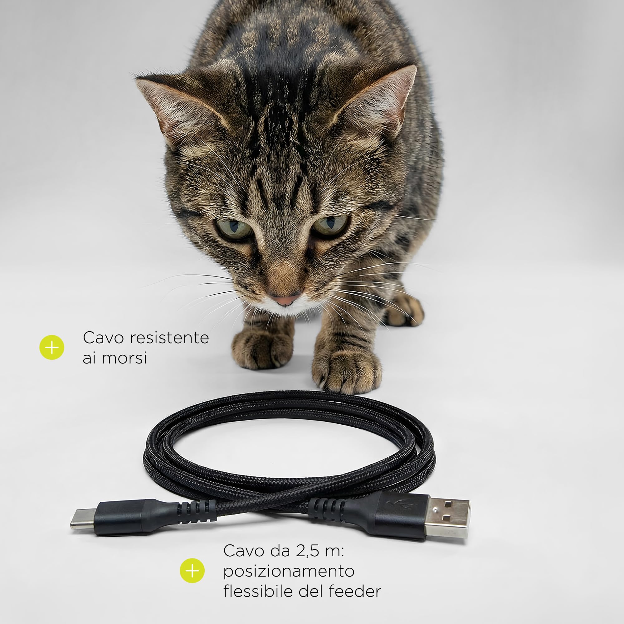 CRISPY WI-FI Distributore Automatico Cibo Gatti e Cani WiFi con App, 4,5 L, Programmabile Timer e Porzioni, Registrazione Vocale, Ciotola in Acciaio Inox, Cavo e Batterie, Cavo 2,5 m (Nero) | Per Cani e Gatti, App, Timer e Porzioni Programmabili, Registra