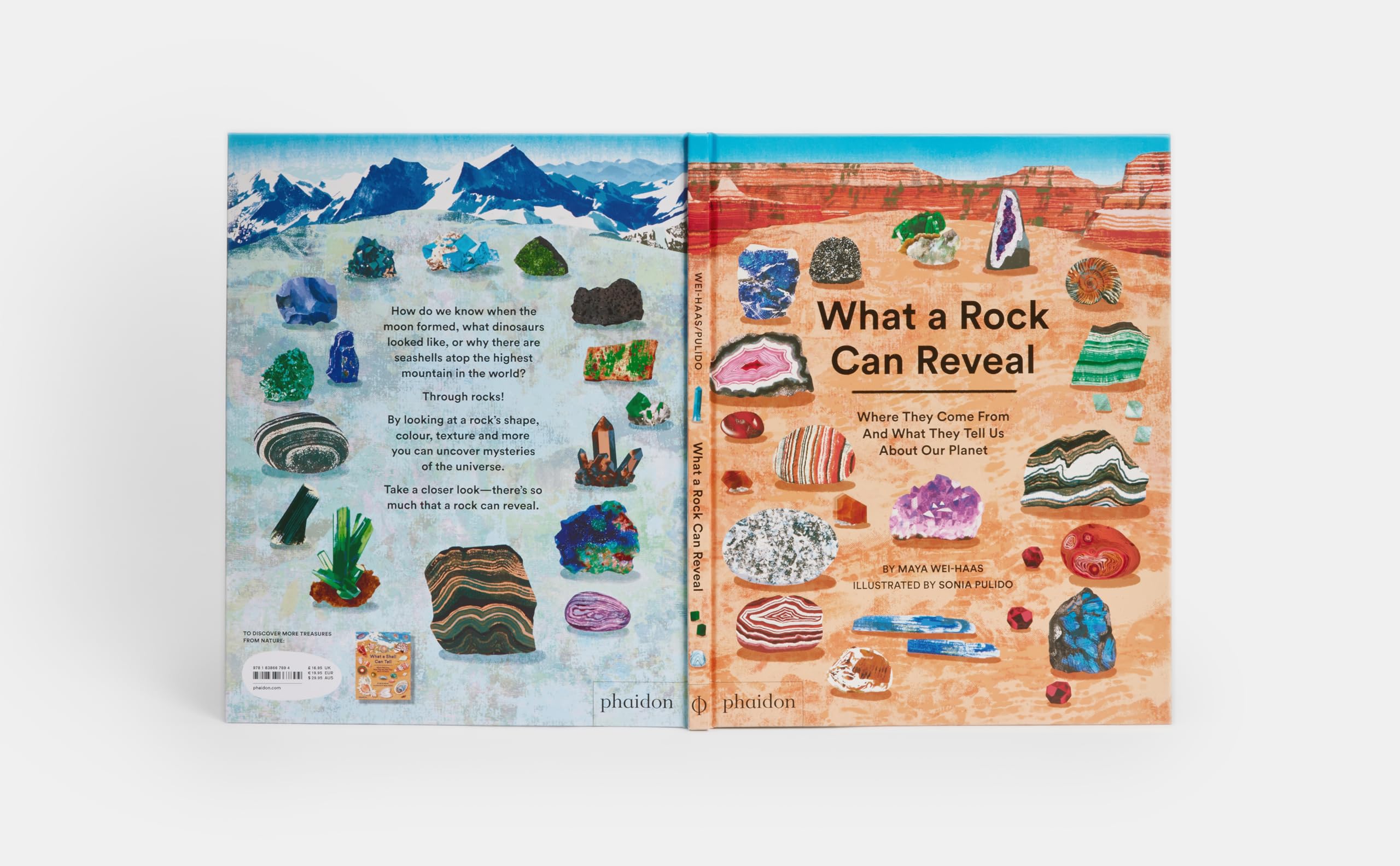 What a Rock Can Reveal: Where They Come From And What They Tell Us About Our Planet