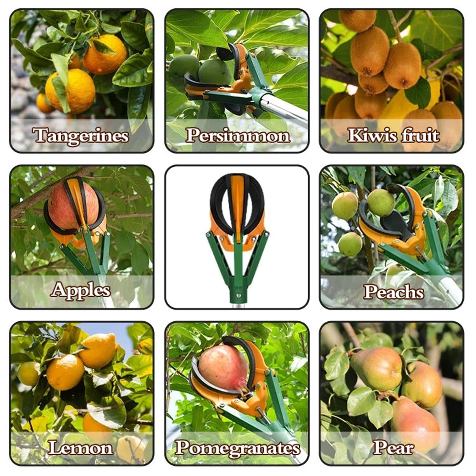 Raccoglifrutta Estensibile,Attrezzo Raccogli Frutta,Raccogli Frutta Telescopico,Raccoglitore di Mele,Facile da Montare,Raccoglitrice Attrezzo per Fichi Ciliegie Pere Limone
