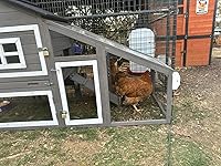 Review Image by mkm2513