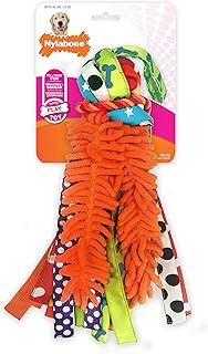 Nylabone Chew Toy Dog Surprise Box