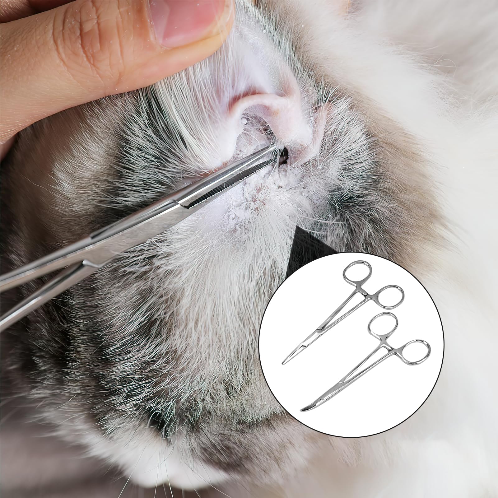 Pince à Clamper, Pince De Verrouillage Inox,pince Piercing Courbe, Pince à Clamp