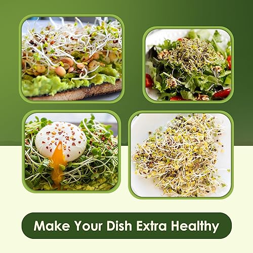 Miniatura 7 de Nature Jims Sprouts Semillas de brócoli orgánicas para germinar, certificadas sin OMG, ricas en sulforafano, semillas microverdes de crecimiento