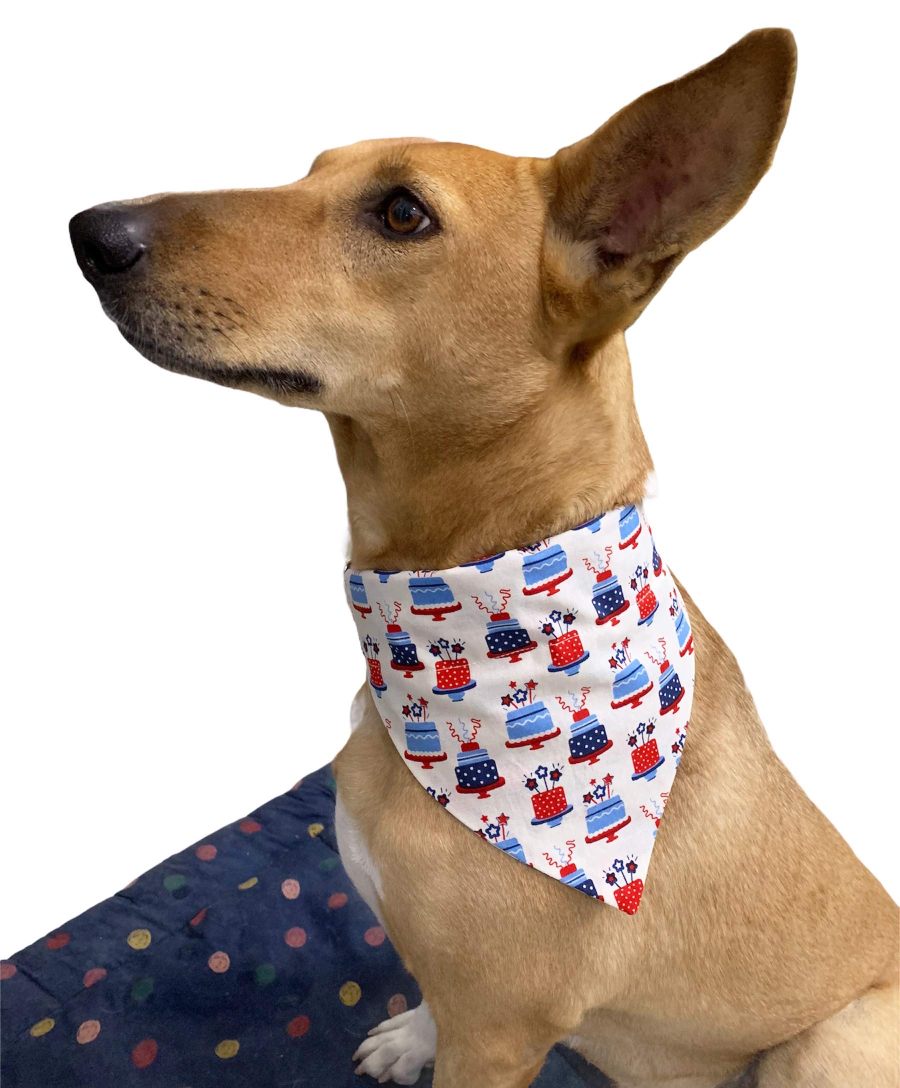For The Fur Kids Birthday Dog Bandana: Cake Birthday Bandana for Pets (Multi-Coloured) (B09253D66H) Amazon Price History, Amazon Price Tracker