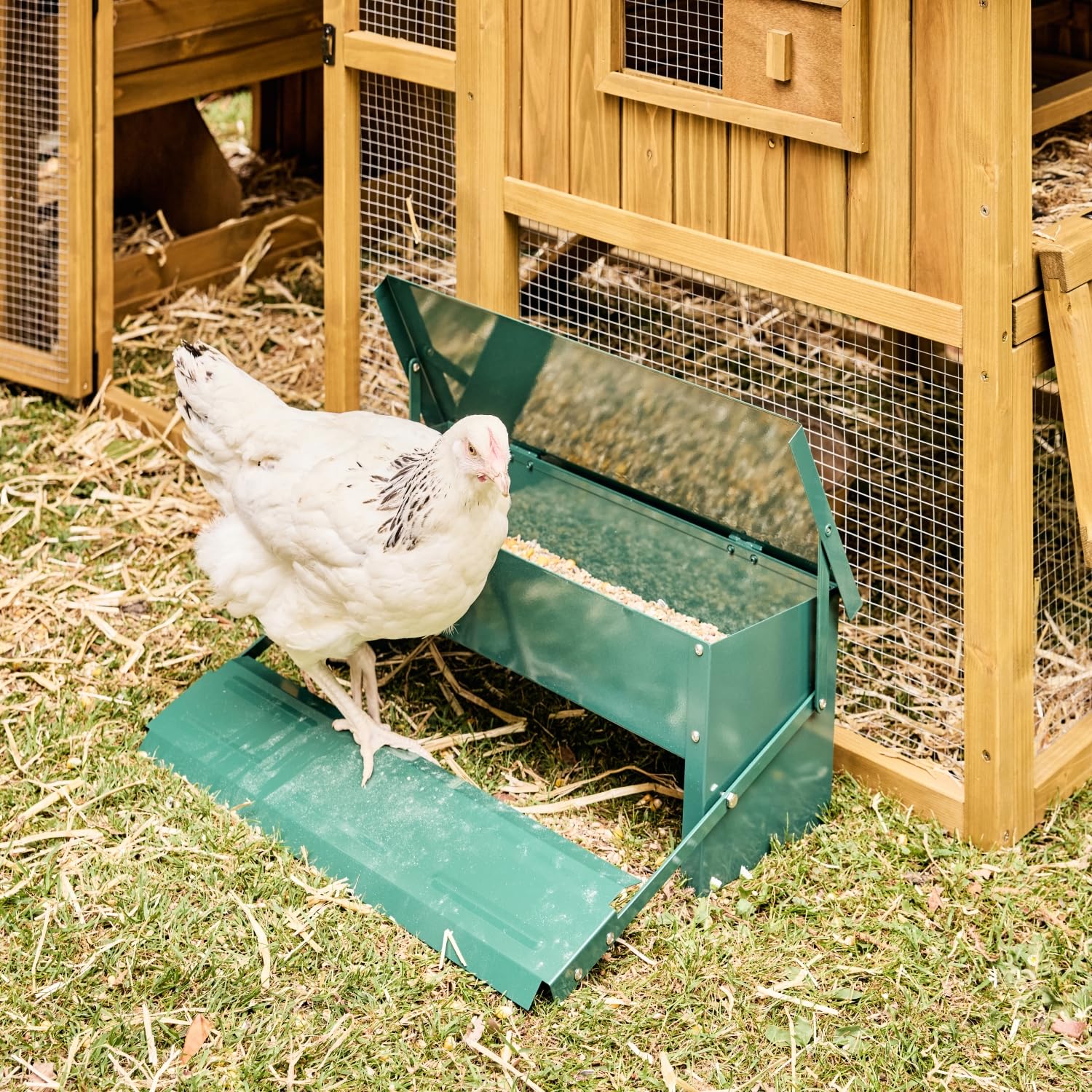 sweeek-Comedero automático para gallinas 5kg, Comedero para Pollos, Verde, 51x35x18.5 cm