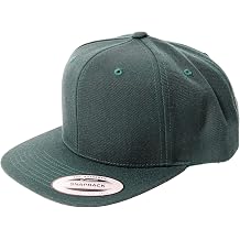 FLEXFIT   flexfit YUPOONG 6089M Premium Classic Snapback