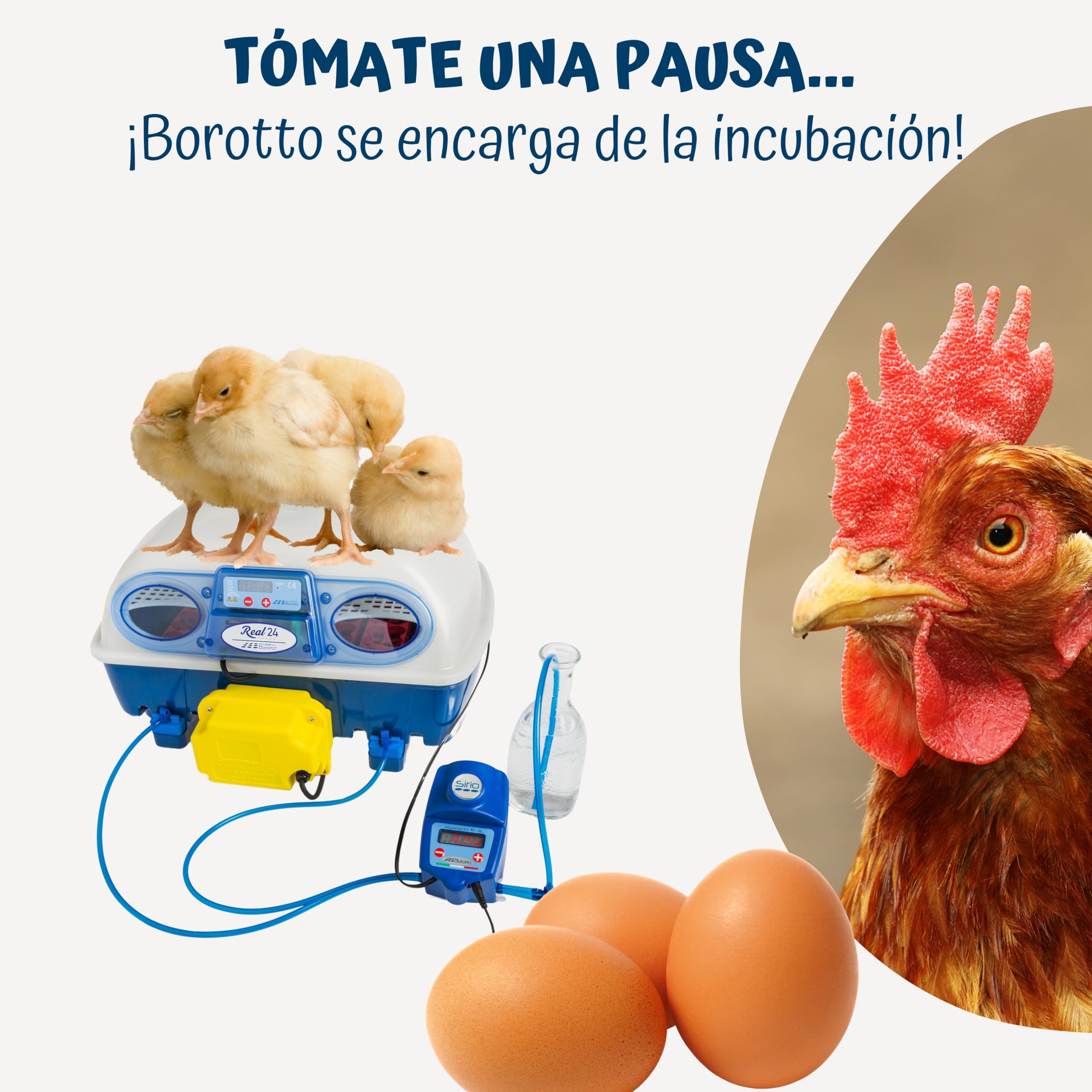 Borotto Real 24 Expert | Incubadora de Huevos Automática Profesional Patentada 24 Huevos o 96 Pequeños con Volteador de Huevos Automático, Control Temperatura, Humidificador Sirio | Made in Italy