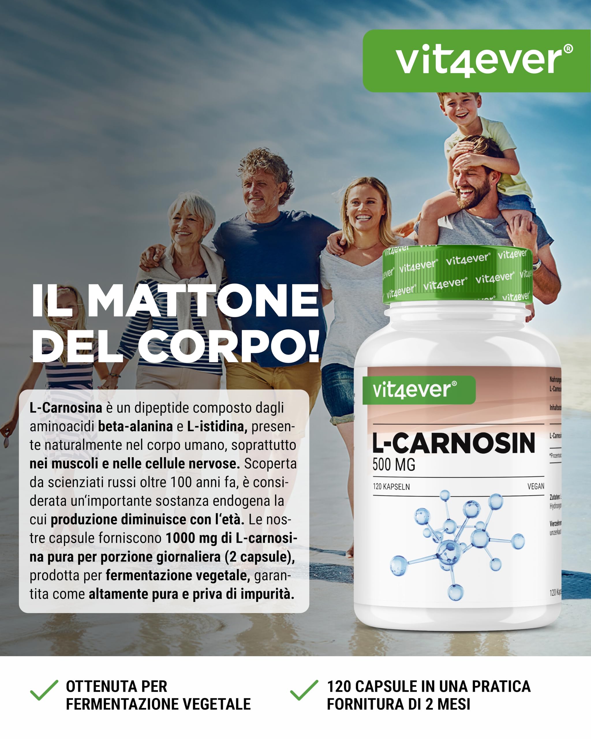 L-Carnosina - 120 capsule - Dosaggio elevato con 1000 mg per dose giornaliera - Amminoacido puro ottenuto tramite fermentazione vegetale - Senza additivi, vegano