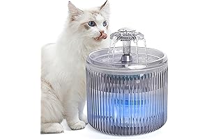 Pawaii Smart Cat Water Fountain with LED Light