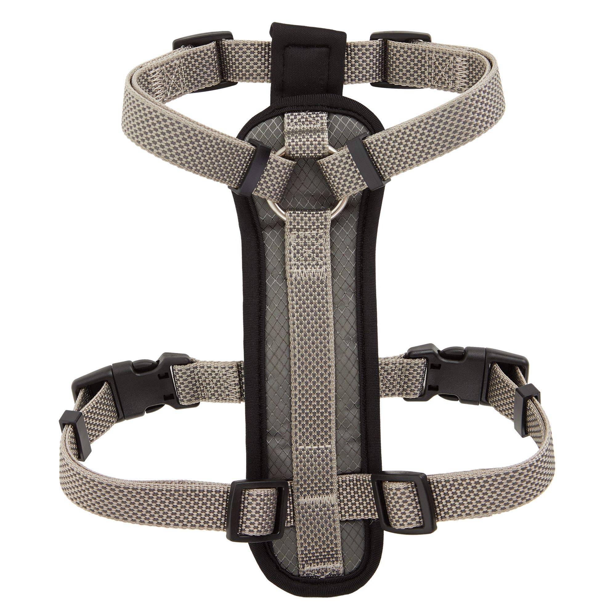kong training harness