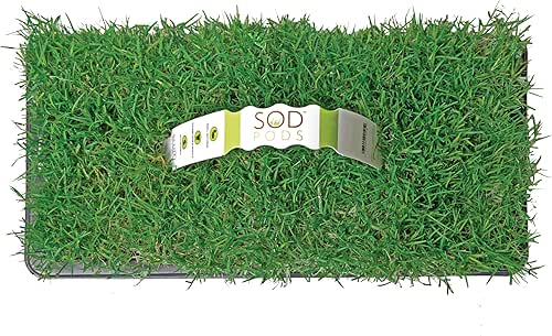 SodPods® Bermuda Grass Plugs for Lawn Repair, 3" x 3"