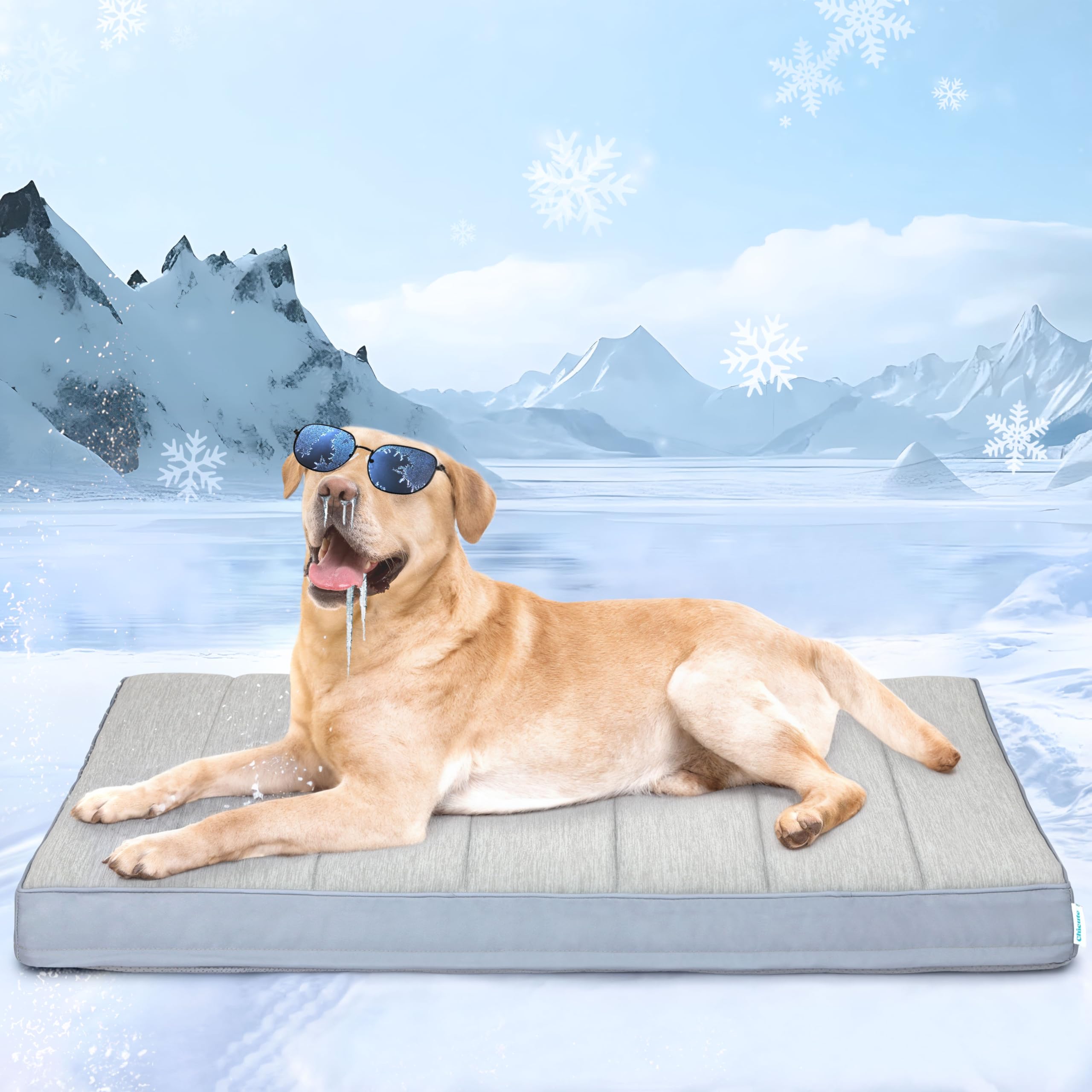 ZAKAPAWS Cooling Dog Bed for X Large Dogs - Orthopedic Pet Beds with Memory Foam, QMAX>0.5, Waterproof Removable Washable Cover for Hot Weather, Grey, 41" L x 27" W x 3" H