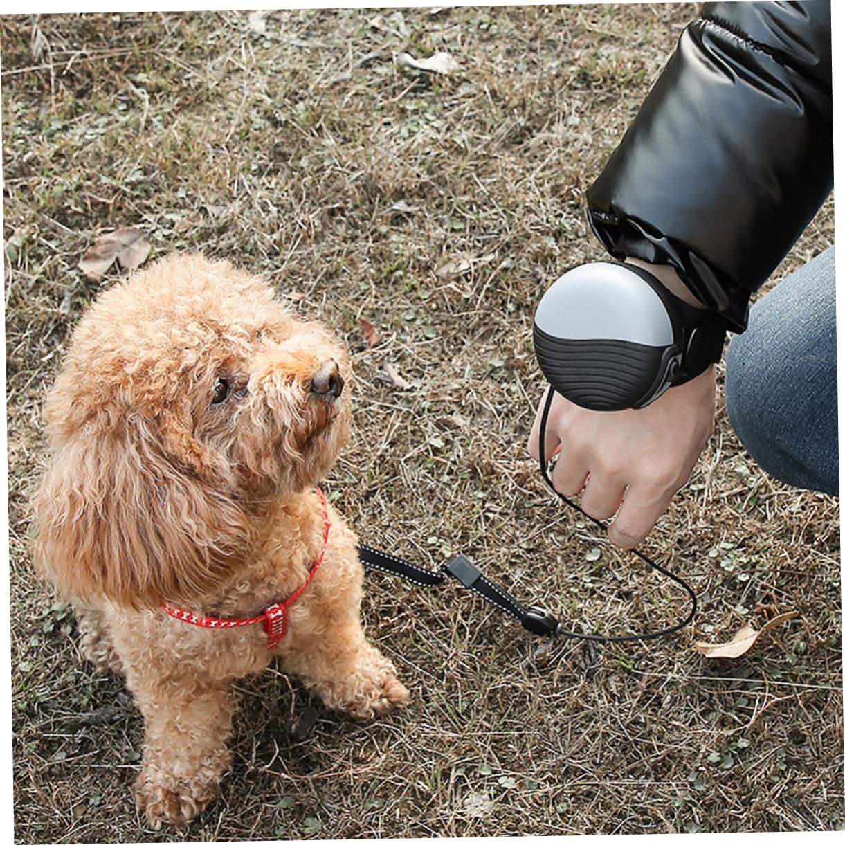 1pieza Correa De Perro Automática Extensible De Strap De Tracción para Mascotas Cuerda De Nylon Cómoda y Ligera para Paseos y Entrenamiento