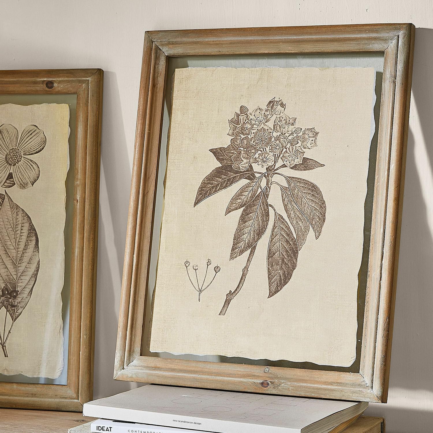 Loberon Bild 2er Set Guyra, nostalgisch gemalte Blumen, faszinierender Vintage-Stil, Wanddekoration, Tannenholz, Papier, Glas, beige/braun