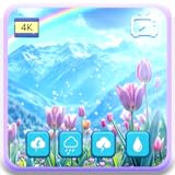 ブロッサム・スプリング・セレニティ – 穏やかなチューリップ畑と癒しの自然音、スリープタイマー付きFire TVスクリーンセーバー