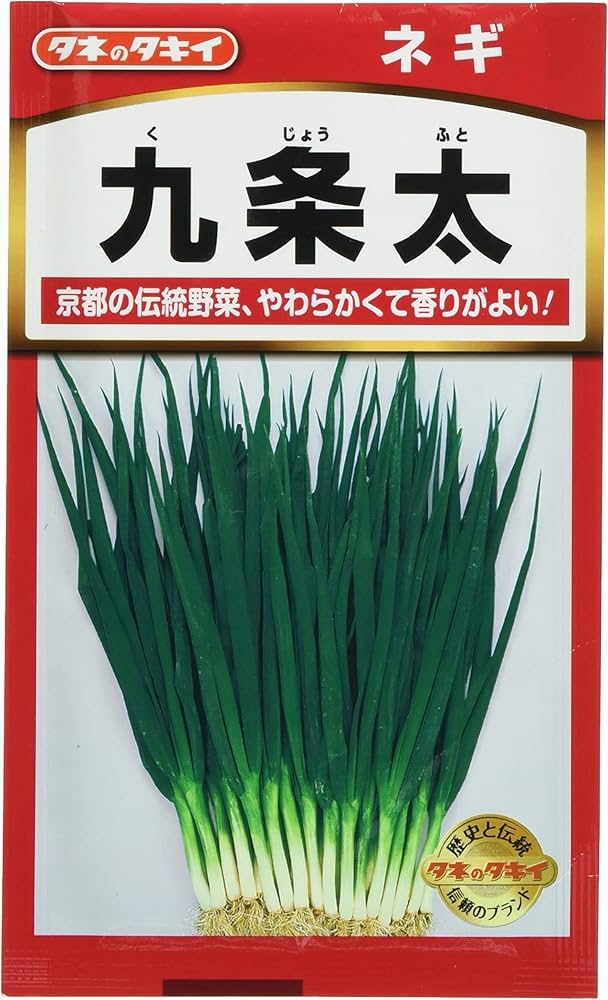Amazon | タキイ種苗 ねぎ 九条太 | 野菜 Amazon | タキイ種苗 ねぎ 九条太 | 野菜