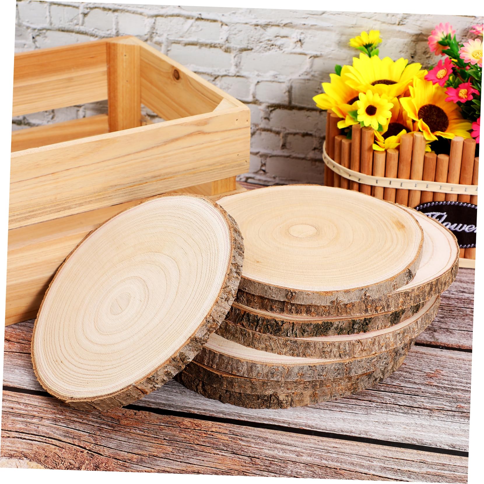 8 Stück Unbehandelte Holzscheiben Paulownia Holz Rundscheiben Naturbelassen Glatt Geschliffen Für DIY Bastelarbeiten Hochzeit Dekoration Rustikales Tischdekor