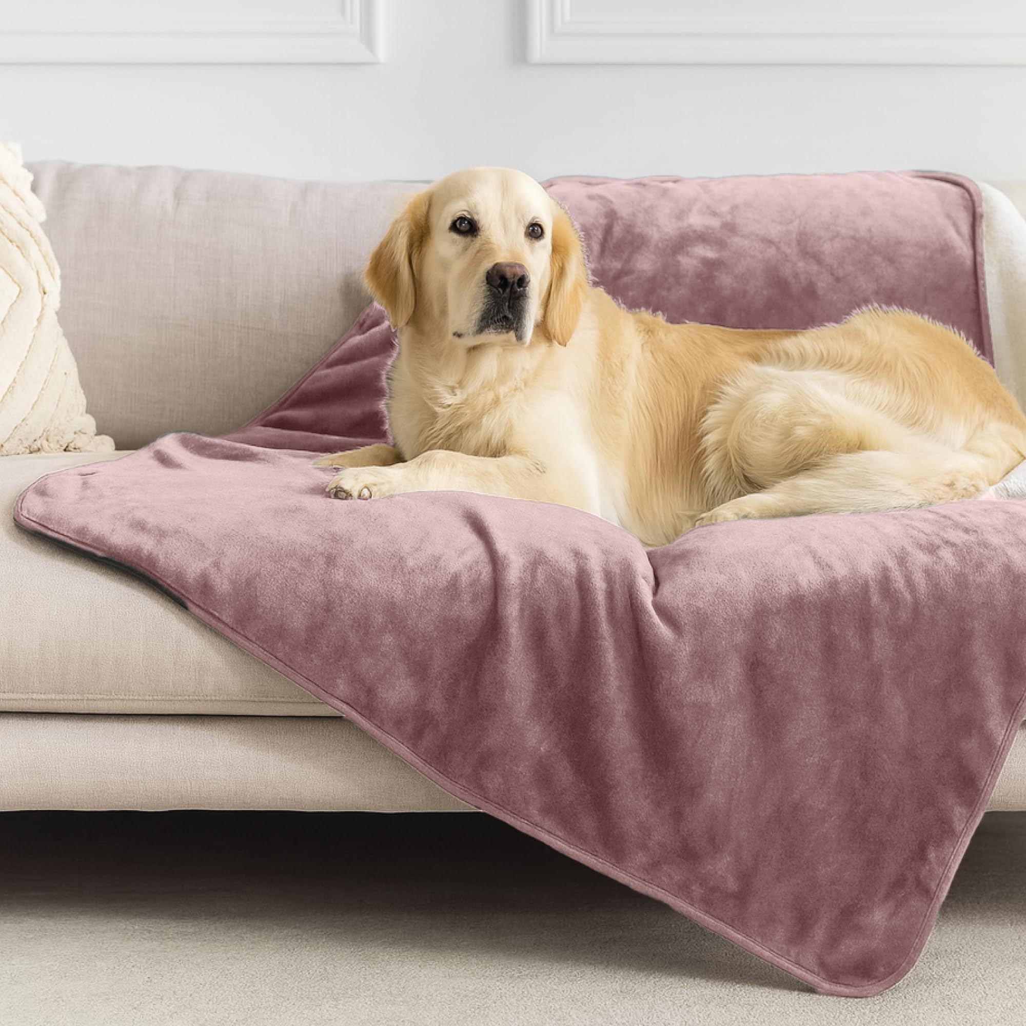 Dreamzie - wasserdichte Decke 100x120 cm - Hundedecke Sofa und Bett - Reversible Decke Wasserdicht aus Sherpa-Fleece - Waschbar - Hellrosa