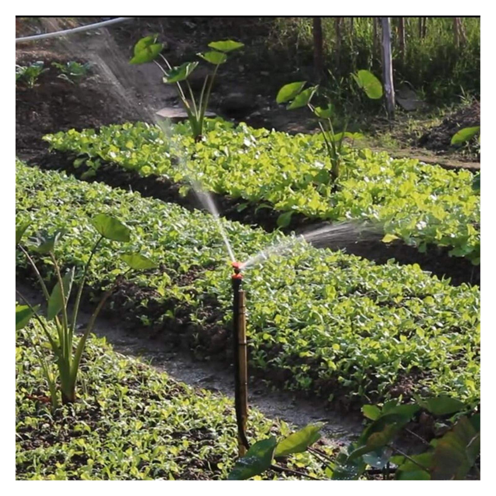 Annaffiatura del giardino irrigazione del prato in 2 ~ 100 pz 1/2 "Thread 650L / h 360 ° Automatic Rotating Sprinkler Rotante Ugello Giardino Giardino Giardino Prato Fruit Tree Irrigation Sprinkler