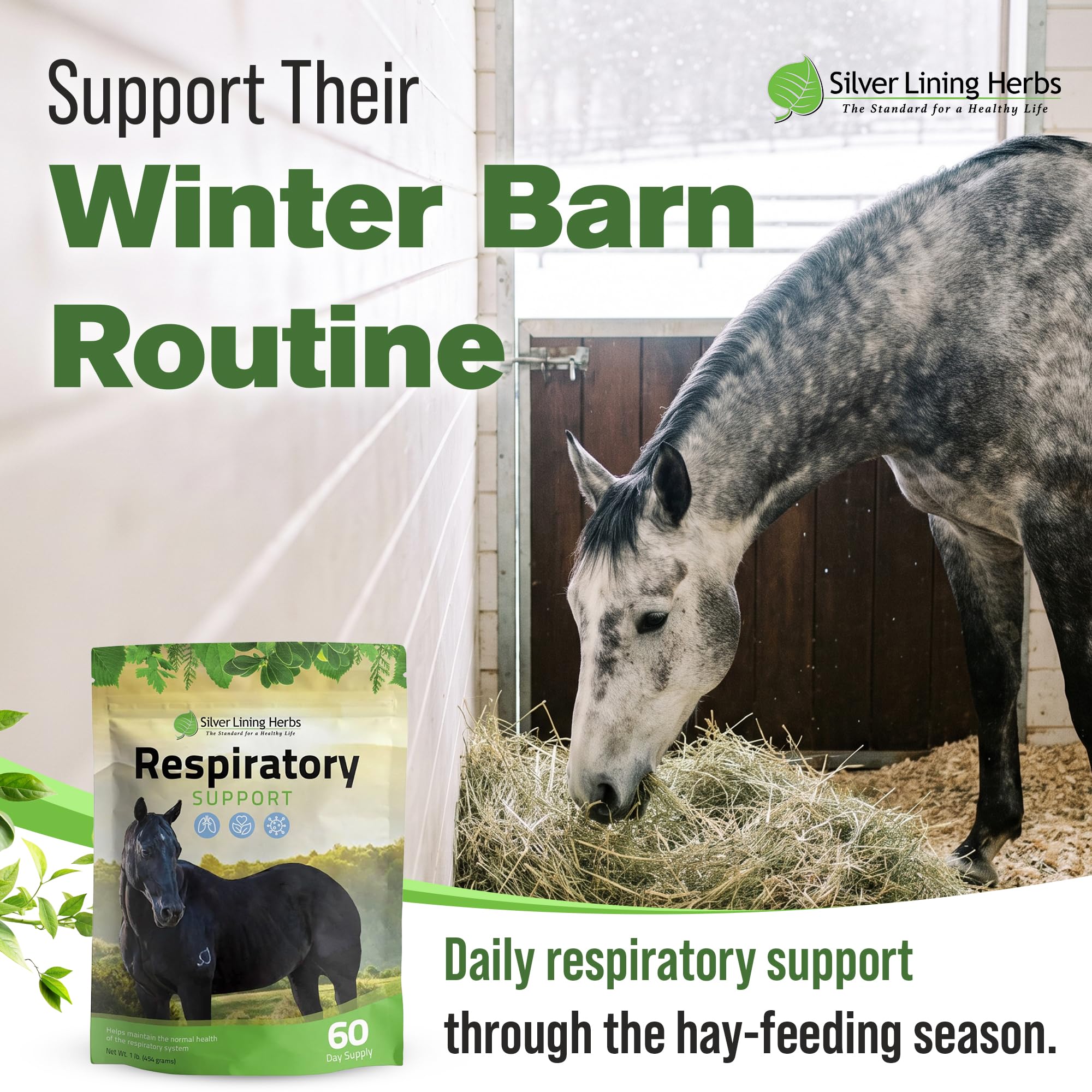 Respiratory Lung Support for Horses - 1 lb — Amazon image 8