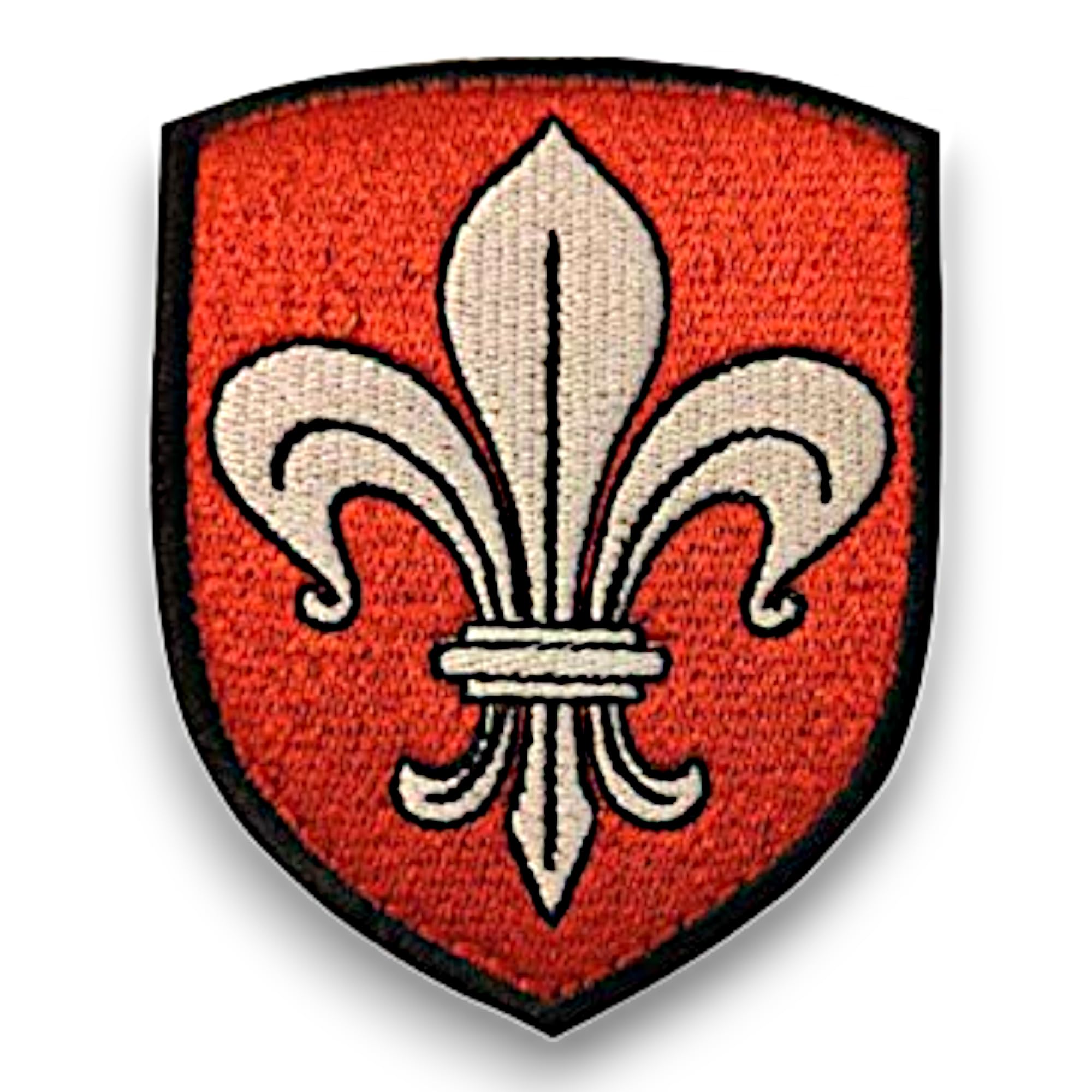 Écusson Brodé Blason Ville De Nîmes - Patch 8x6.4 Cm Velcro + Support à Coudre Offert - Qualité Militaire