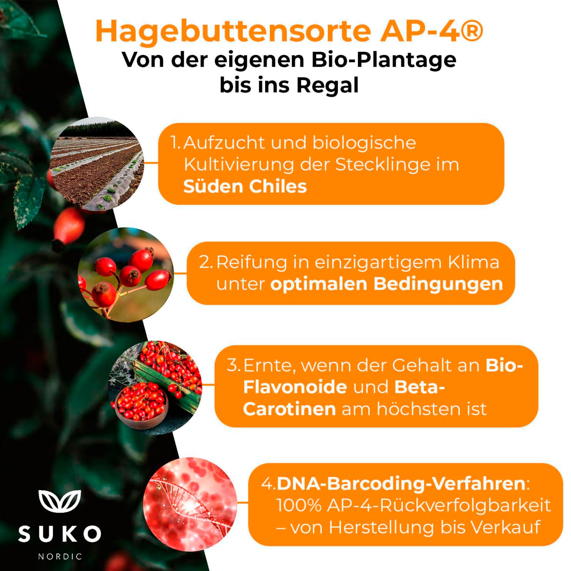 SUKOVet Bio Hagebutten Pellets für Pferde, 3 kg I Natürliche Gelenk- & Immunsystem für Pferde mit Hagebutten I Omega 3 und Omega 6 I Reich an Ballaststoffen I Bio Pferdefutter