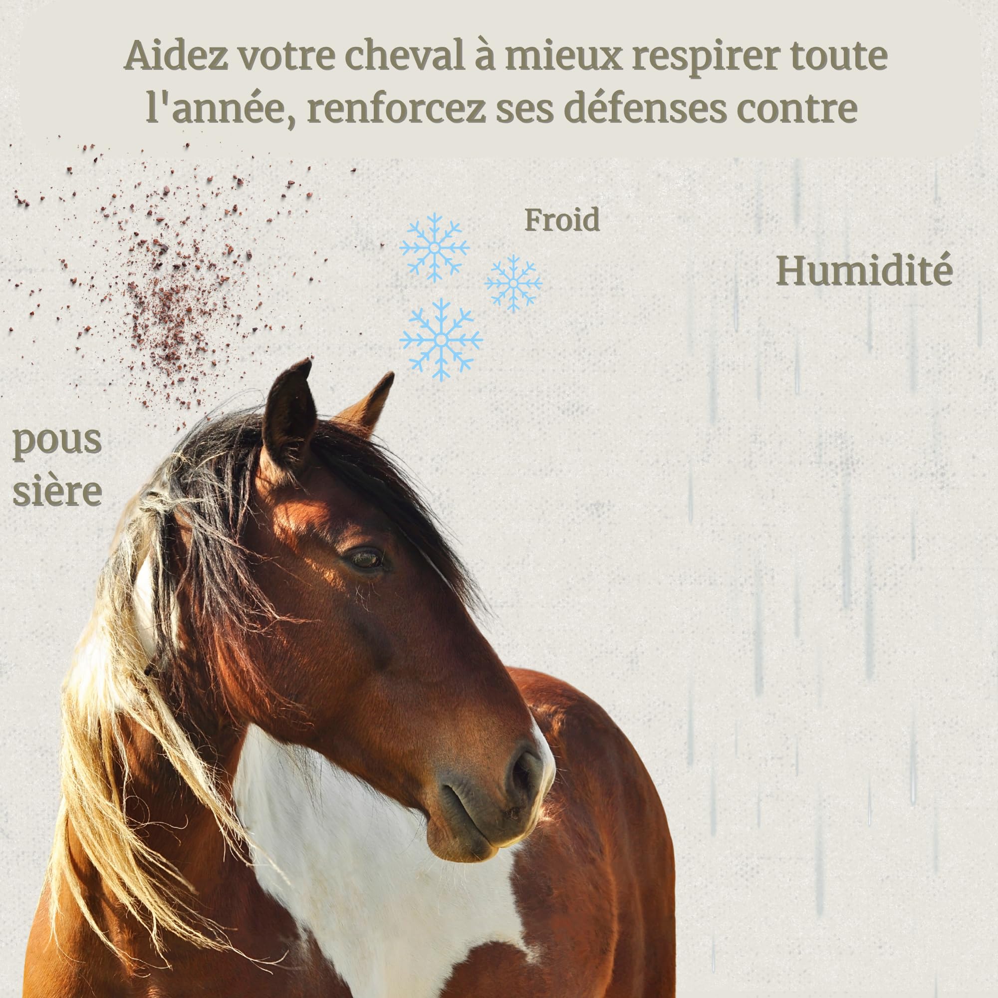 Broncare - Respiratoire Chevaux 1L - Extraits de Menthe, Eucalyptus, Thym et Herbes - Renforce immunitaire et bien-être pulmonaire - Idéal dans les environnements poussiéreux, chauds ou