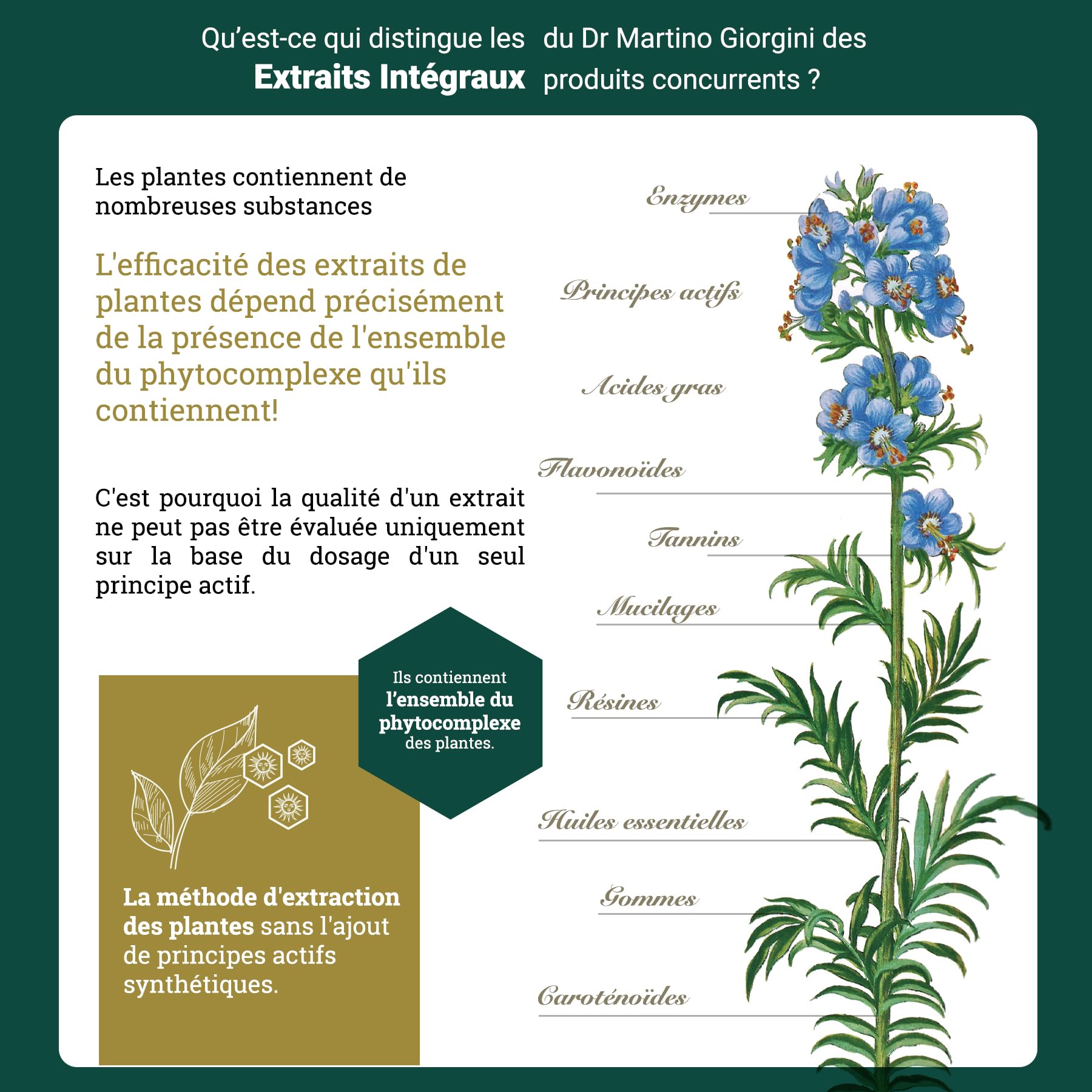 Dr. Giorgini Aubépine Extrait Intégral – 200 Ml