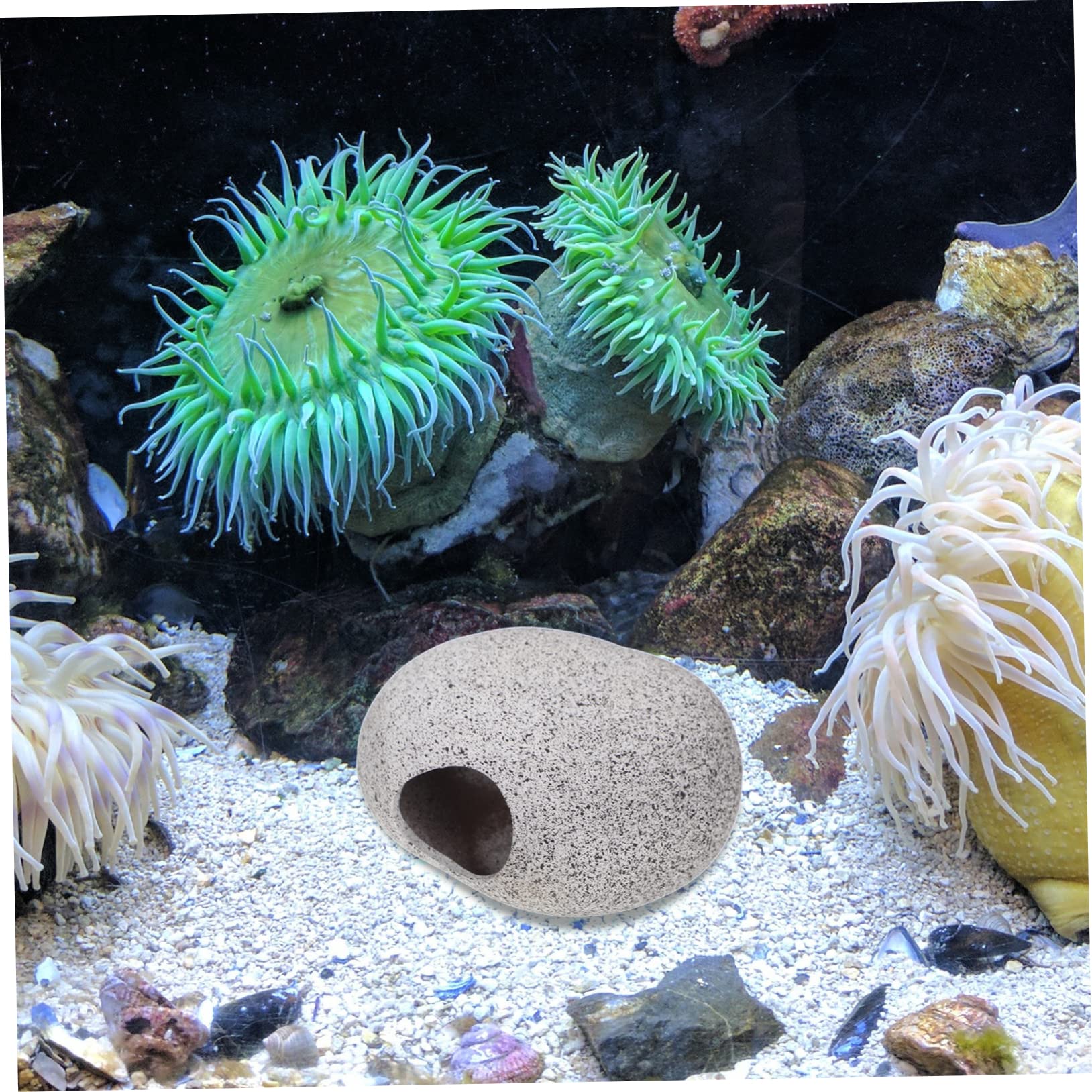 Sosoport Cachette Aquarium 2 Ensembles Pot en Argile pour Aquarium Ornements Cachettes des Grottes des Aquariums Grotte De Crevettes Délicate Bois Flotté D'aquarium Argile Violette 2 Pièces * 2
