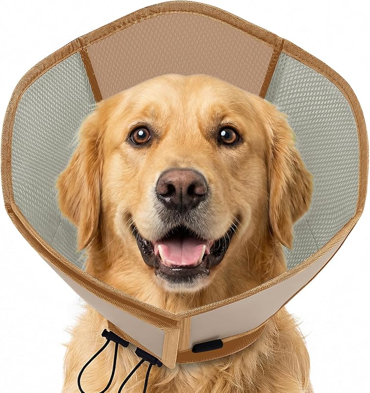 Colar Elizabetano Macio para Cães AOFITEE com Ajuste por Velcro e Cordão Tamanho Grande (XL)
